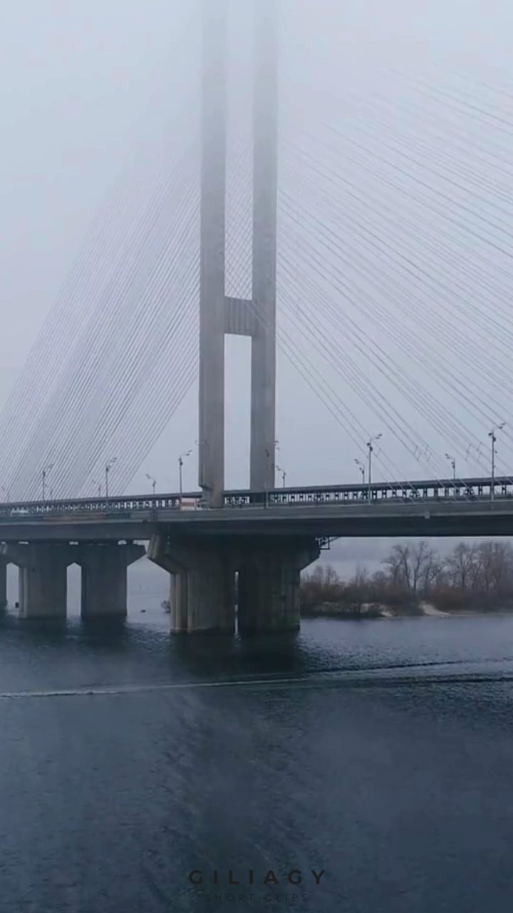 Cable-stayed bridge standing in fog